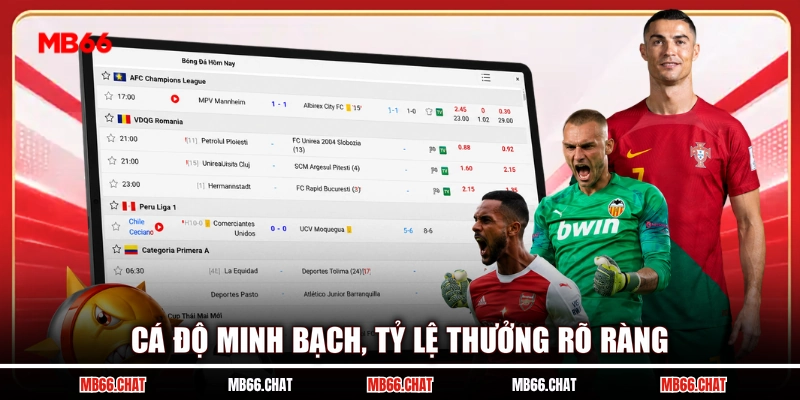 Cá độ minh bạch, tỷ lệ thưởng rõ ràng