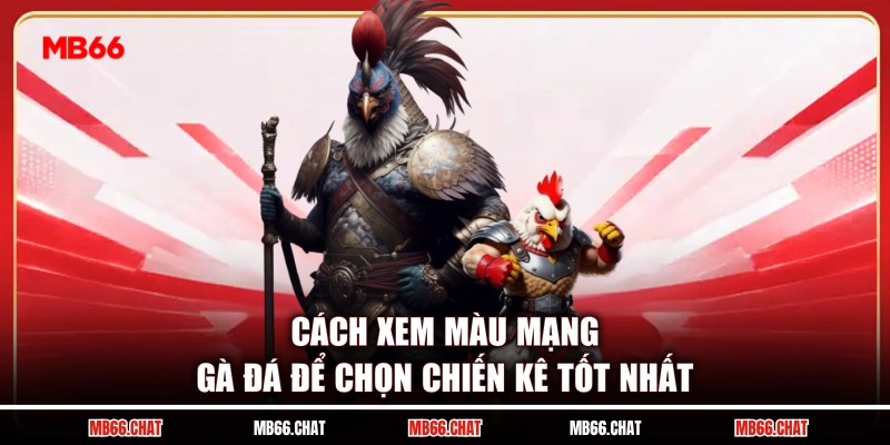 Cách Xem Màu Mạng Gà Đá Để Chọn Chiến Kê Tốt Nhất