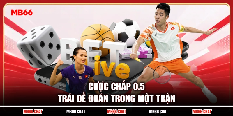 Kèo Trên Kèo Dưới Là Gì? Bí Quyết Bắt Kèo Cùng Cao Thủ