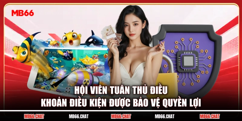Hội viên tuân thủ điều khoản điều kiện được bảo vệ quyền lợi