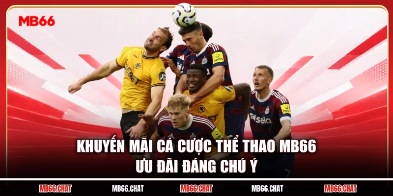 Khuyến Mãi Cá Cược Thể Thao MB66 - Ưu Đãi Đáng Chú Ý
