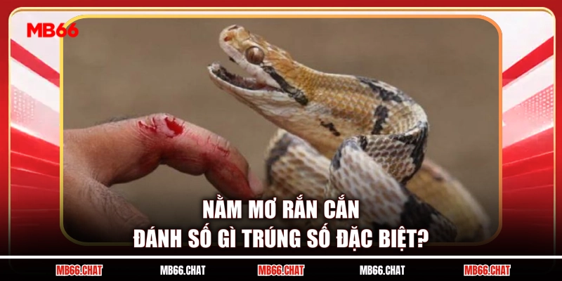 Nằm mơ rắn cắn đánh số gì trúng số đặc biệt?